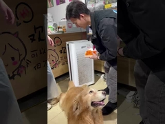 Ar aprovado para animais de estimação: O purificador da Berk mantém sua casa fresca!