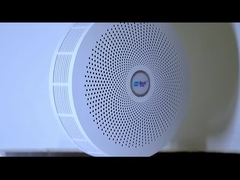 Z06C-VIDEO principal