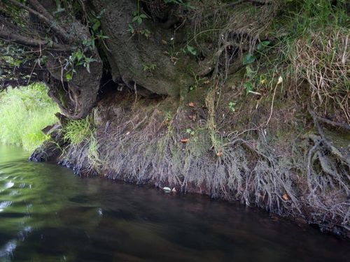 Trung Quốc tin tức mới nhất về Các hạt lơ lửng từ xói mòn sông: Hiểu tác động của chúng đến chất lượng không khí và sự cần thiết của các máy lọc không khí